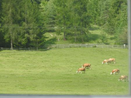 Na oglarskih dnevih v Gozdu Martuljku predstavili turistične zanimivosti Občine Razkrižje 40